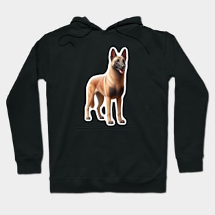 Belgian Malinois Hoodie